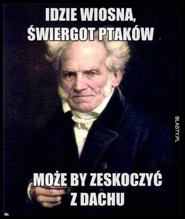 świergot ptaków