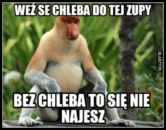 Weź se chleba do tej zupy, bez chleba to się nie najesz