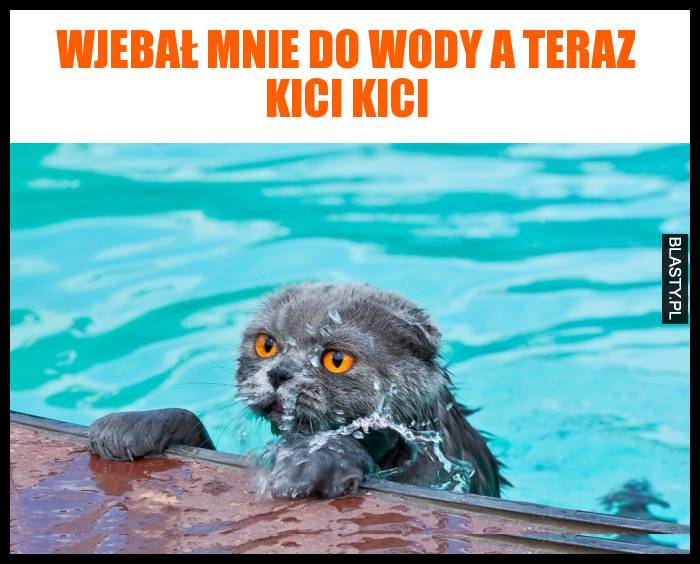 Wjebał mnie do wody a teraz kici kici