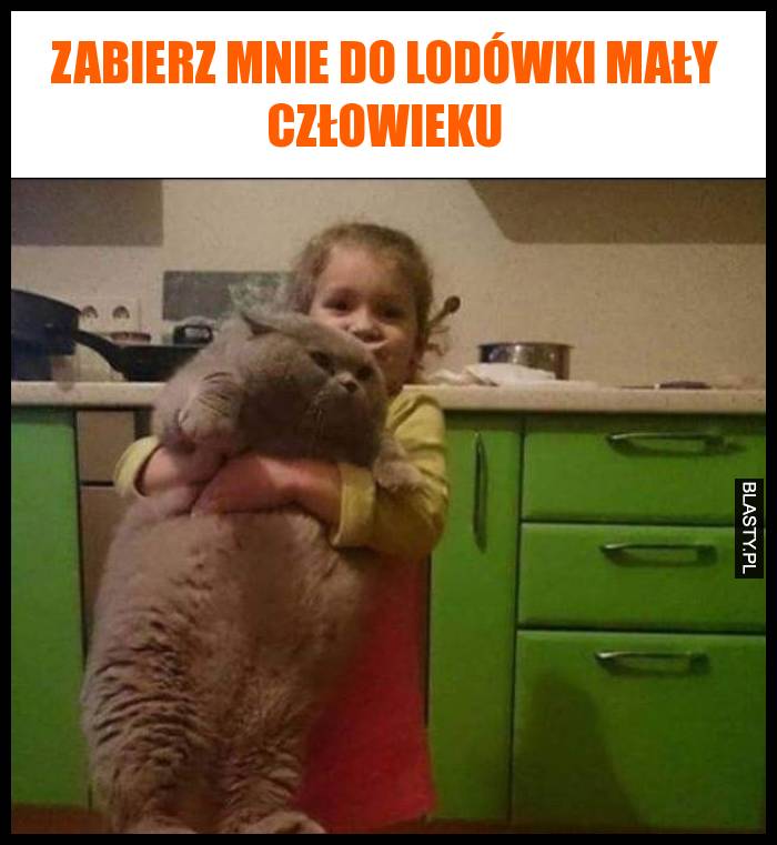 Zabierz mnie do lodówki mały człowieku