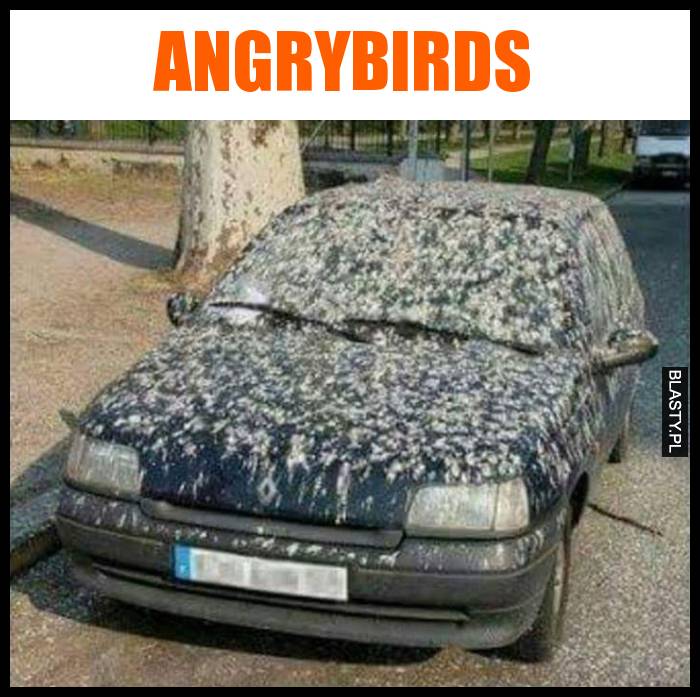 Angrybirds