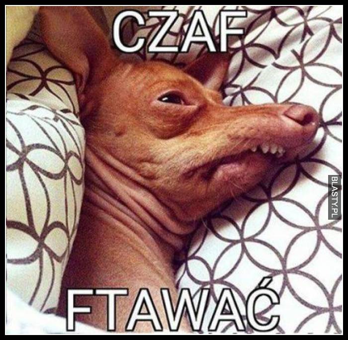 Czaf ftawać