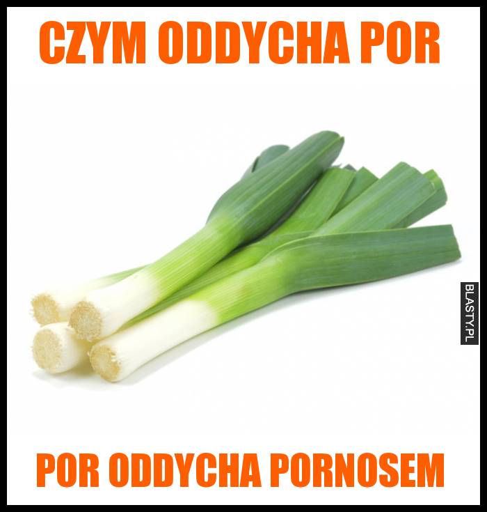 Czym oddycha Por