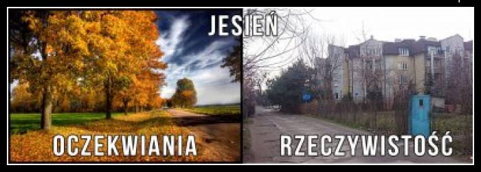 Jesień oczekiwania vs rzeczywistość