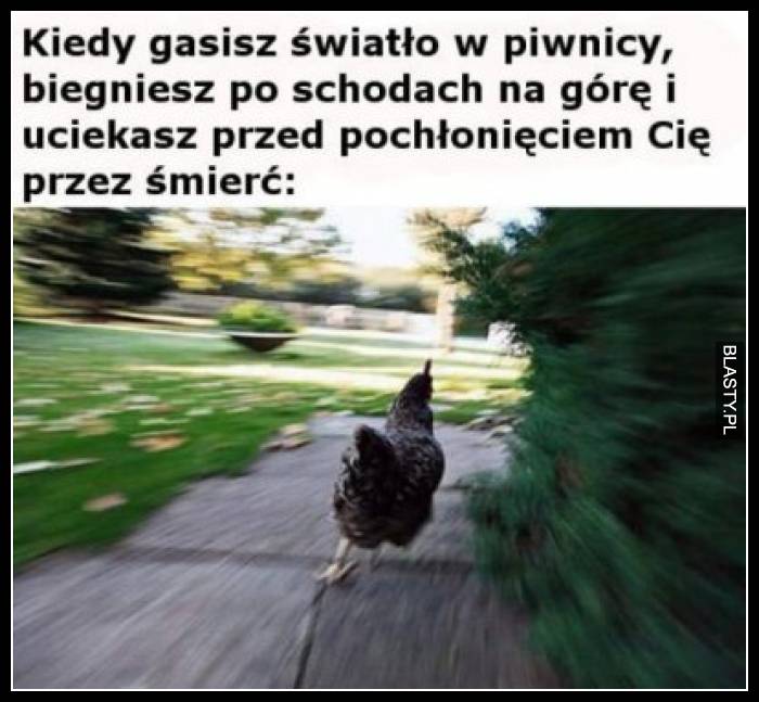 Kiedy gasisz światło w piwnicy, biegniesz po schodach na górę i uciekasz