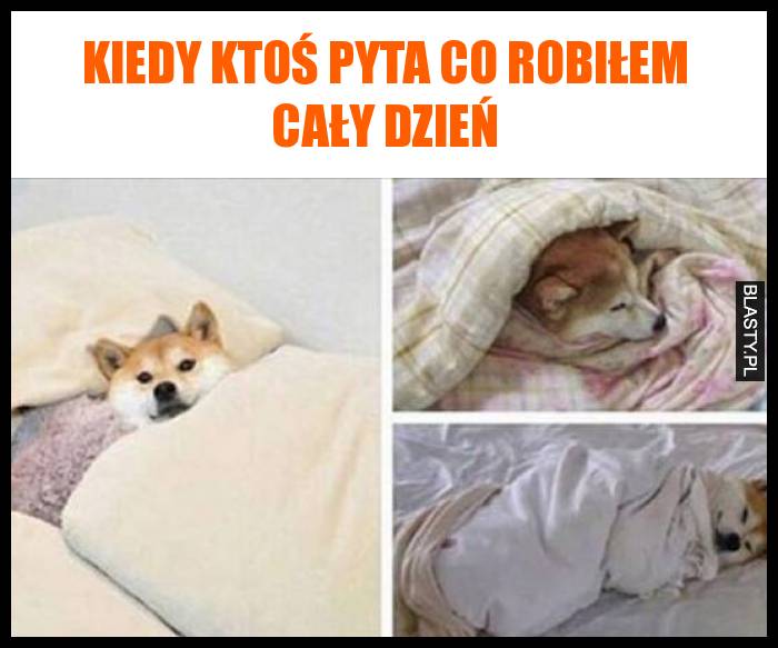 Kiedy ktoś pyta co robiłem cały dzień