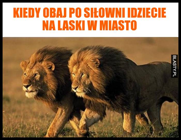 kiedy obaj po siłowni idziecie na laski w miasto