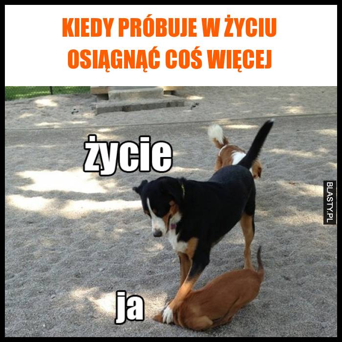 kiedy próbuje w życiu osiągnąć coś więcej