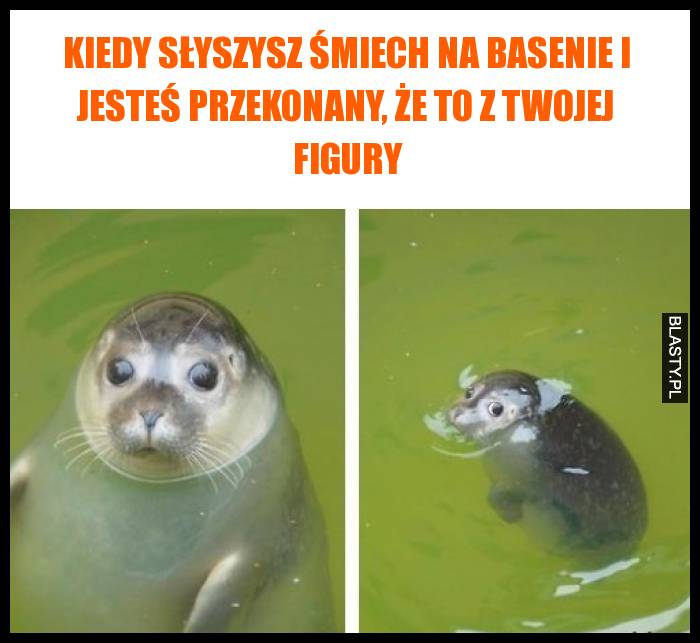 Kiedy słyszysz śmiech na basenie i jesteś przekonany, że to z Twojej figury