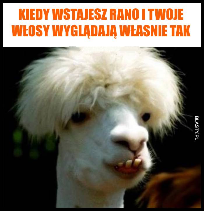 Kiedy wstajesz rano i Twoje włosy wyglądają własnie tak