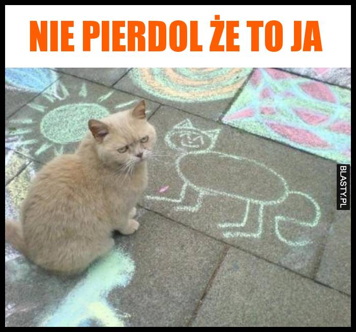 Nie pierdol że to ja