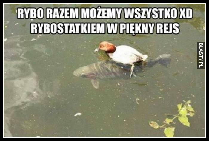 Rybo razem możemy wszystko xD - rybostatkiem w piękny rejs