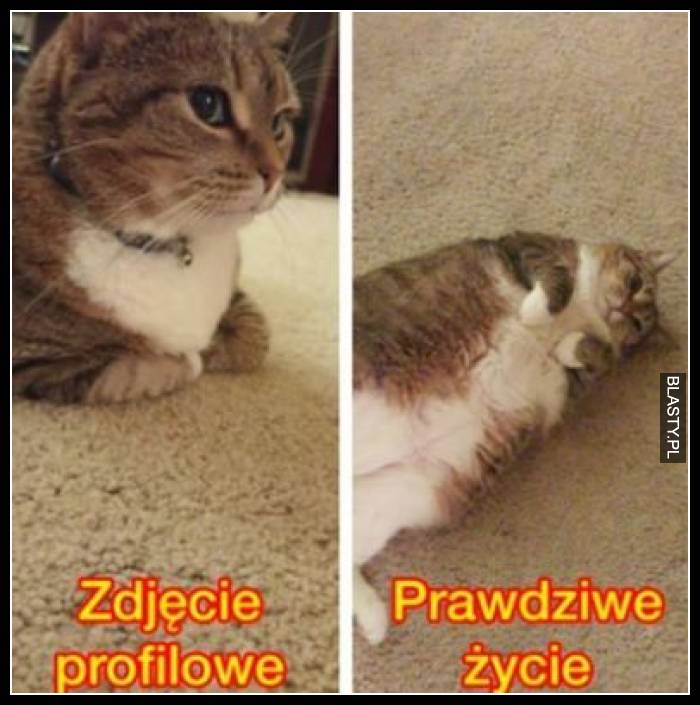 Zdjęcie profilowe vs prawdziwe życie