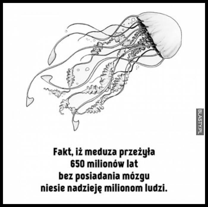 Fakt iż meduza, przeżyła 650 milionów lat bez posiadania mózgu niesie nadzieję milionom ludzi