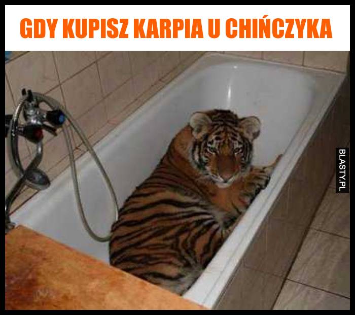 Gdy kupisz karpia u chińczyka