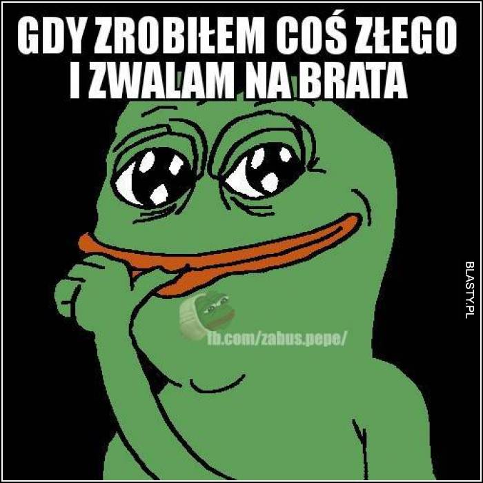 Gdy zrobiłem coś złego i zwalam na brata