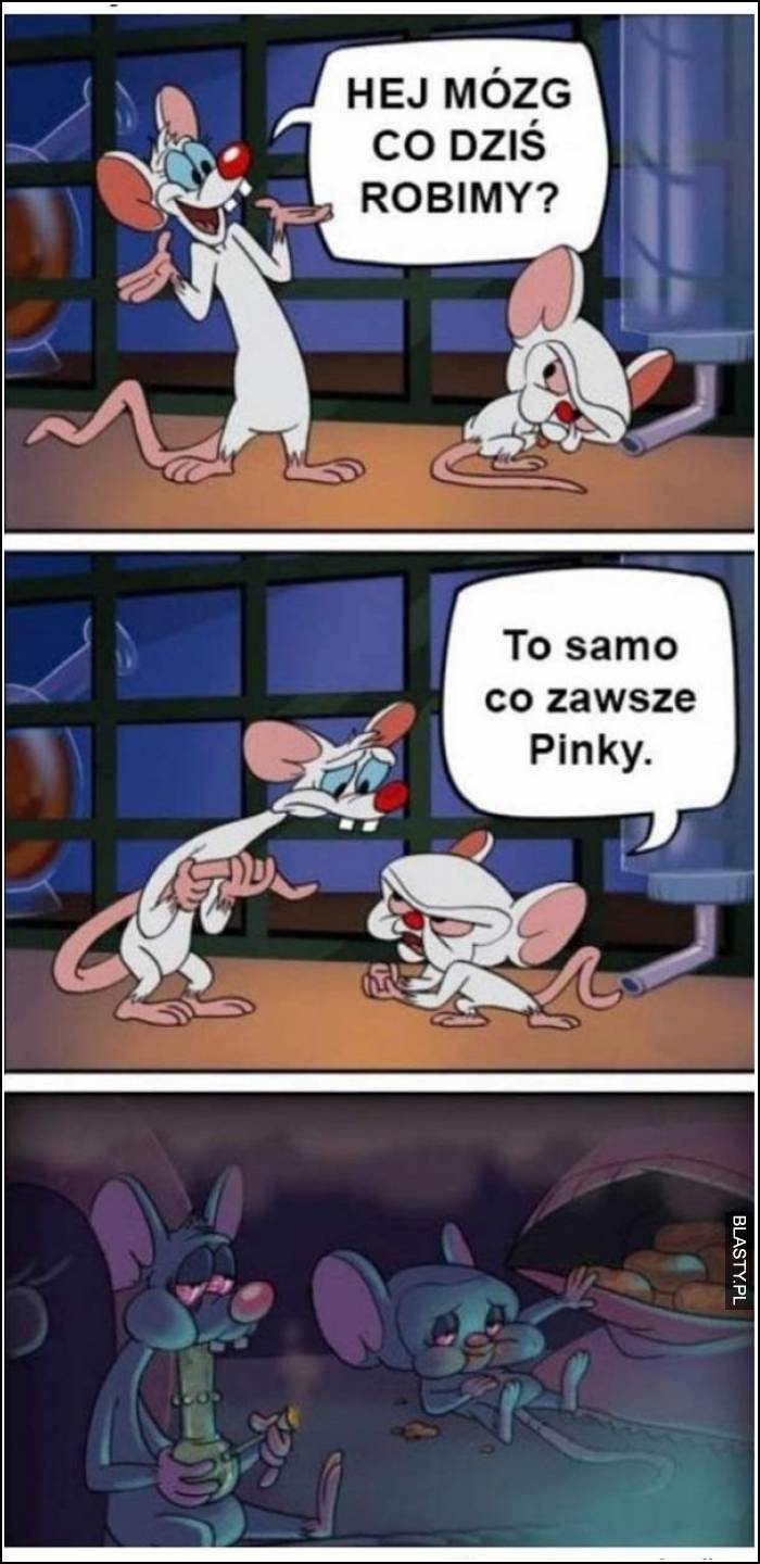 Hej mózg co dziś robimy ? to co zawsze pinky