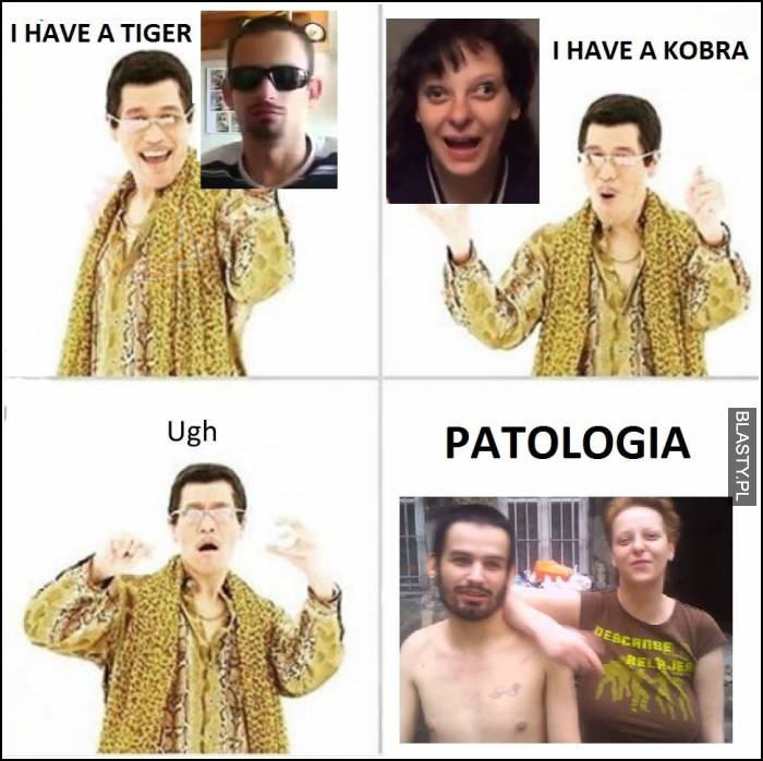 I have a tiger I have a kobra ugh patologia