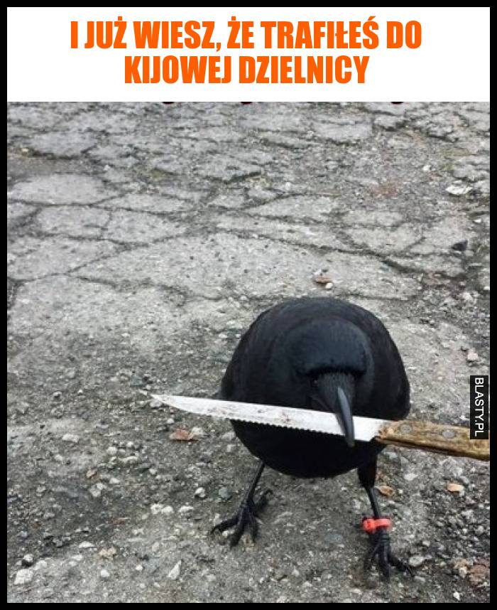 I już wiesz, że trafiłeś do kijowej dzielnicy