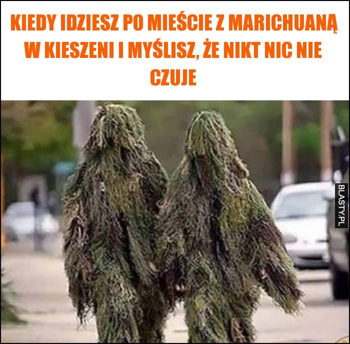 Kiedy idziesz po mieście z marichuaną w kieszeni i myślisz, że nikt nic nie czuje