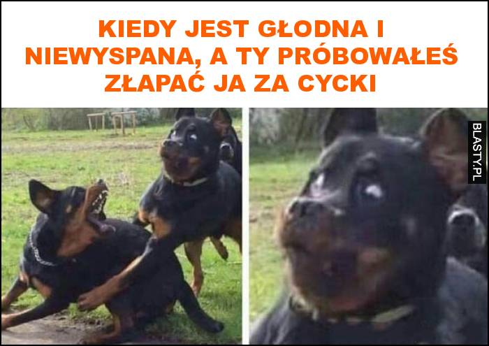 Kiedy jest głodna i niewyspana, a ty próbowałeś złapać ja za cycki