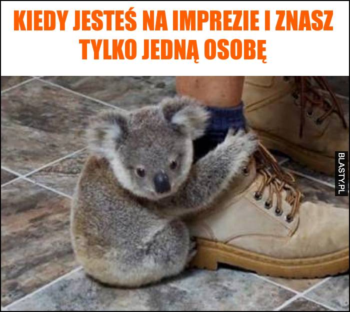 Kiedy jesteś na imprezie i znasz tylko jedną osobę