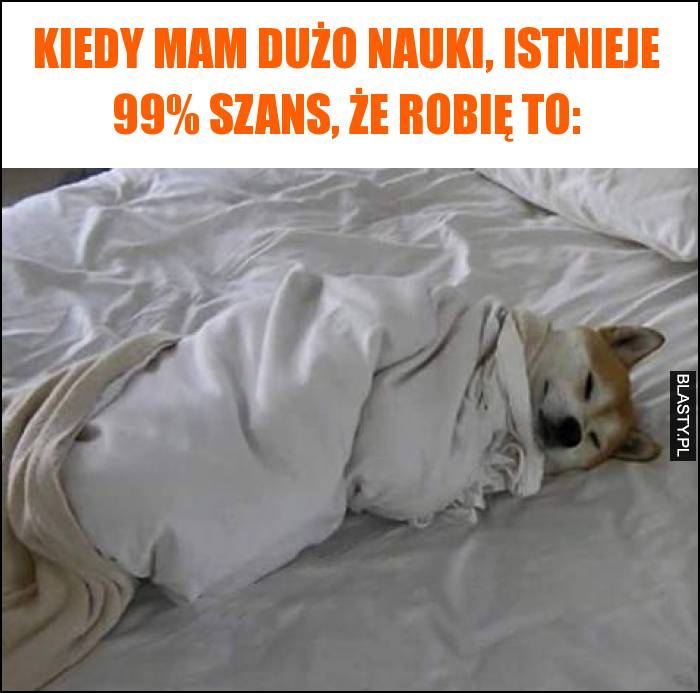 Kiedy mam dużo nauki, istnieje 99% szans, że robię to: