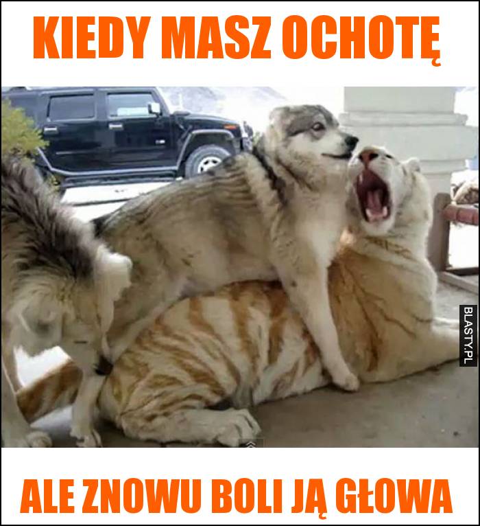 Kiedy masz ochotę