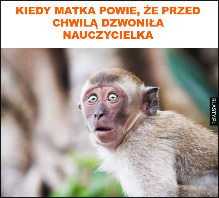 Kiedy matka powie, że przed chwilą dzwoniła nauczycielka