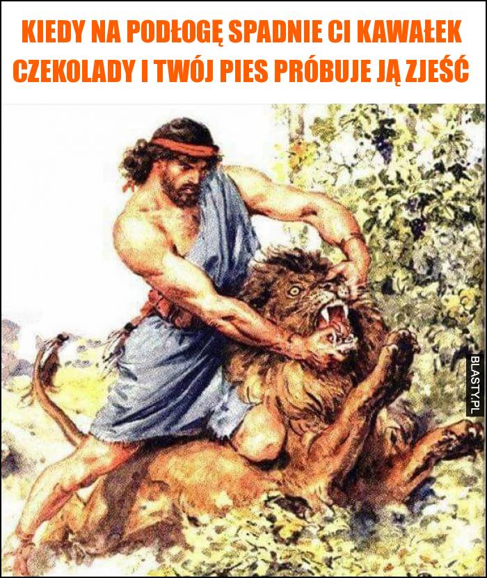 Kiedy na podłogę spadnie Ci kawałek czekolady i Twój pies próbuje ją zjeść