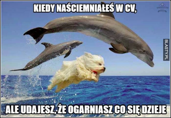 Kiedy nakłamałeś w cv ale udajesz,że ogarniasz co się dzieje