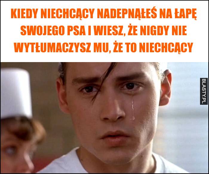 Kiedy niechcący nadepnąłeś na łapę swojego psa i wiesz, że nigdy nie wytłumaczysz mu, że to niechcący