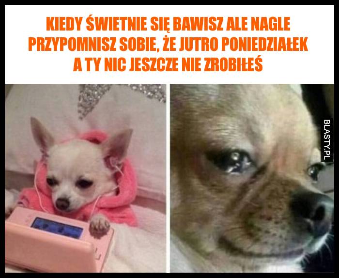 Kiedy świetnie się bawisz ale nagle przypomnisz sobie, że jutro poniedziałek a Ty nic jeszcze nie zrobiłeś