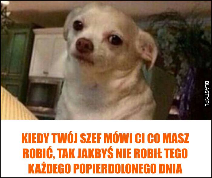 Kiedy twój szef mówi ci co masz robić,