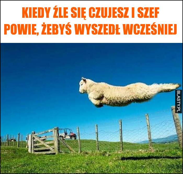 Kiedy źle się czujesz i szef powie, żebyś wyszedł wcześniej