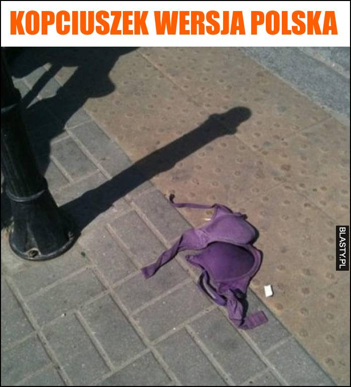 Kopciuszek wersja polska