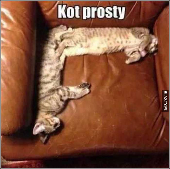 Kot prosty