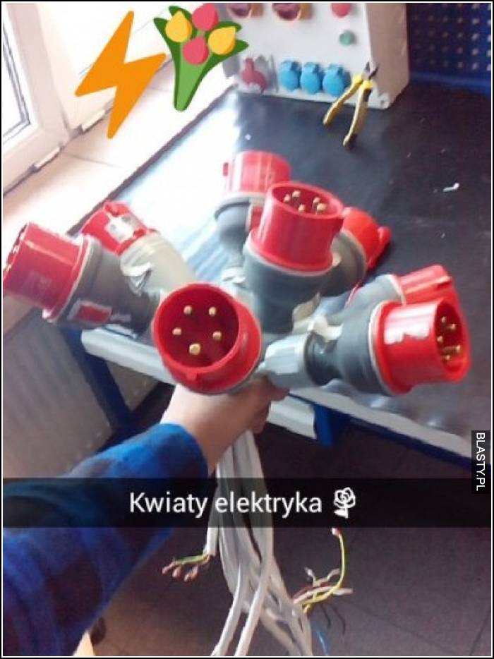 Kwiaty elektryka