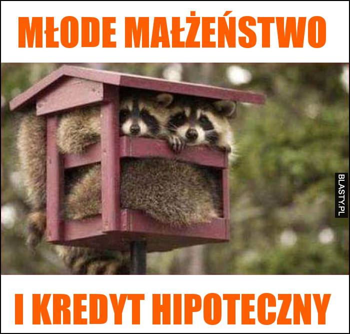 młode małżeństwo i