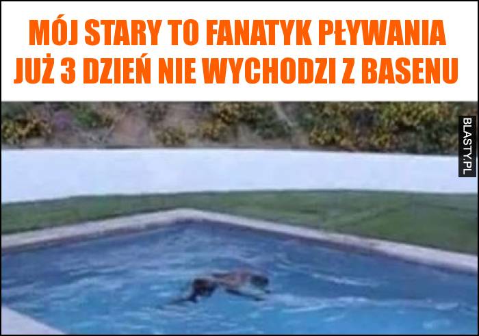 Mój stary to fanatyk pływania już 3 dzień nie wychodzi z basenu