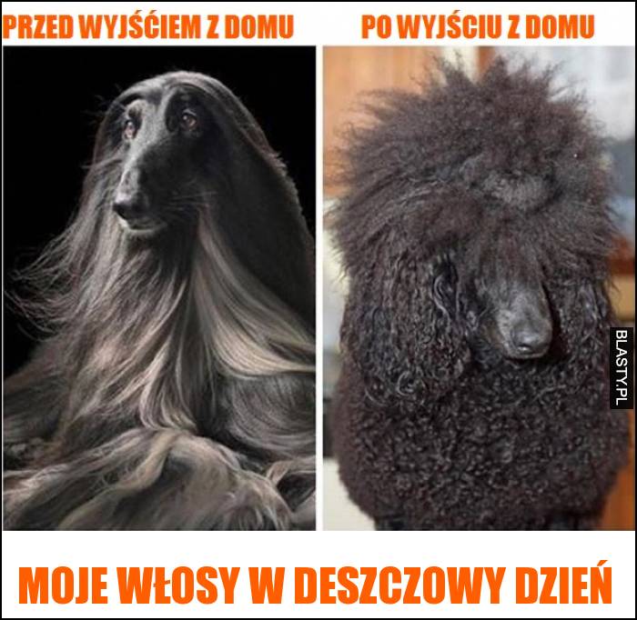 Moje włosy w deszczowy dzień