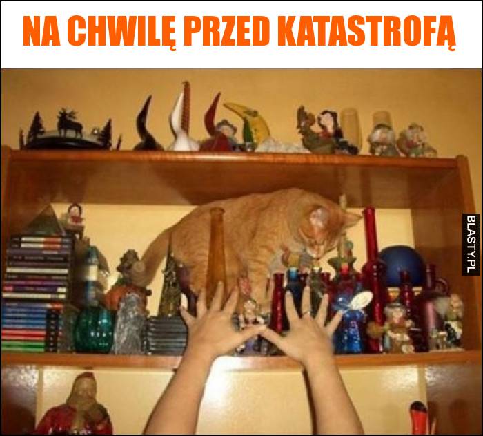 Na chwilę przed katastrofą