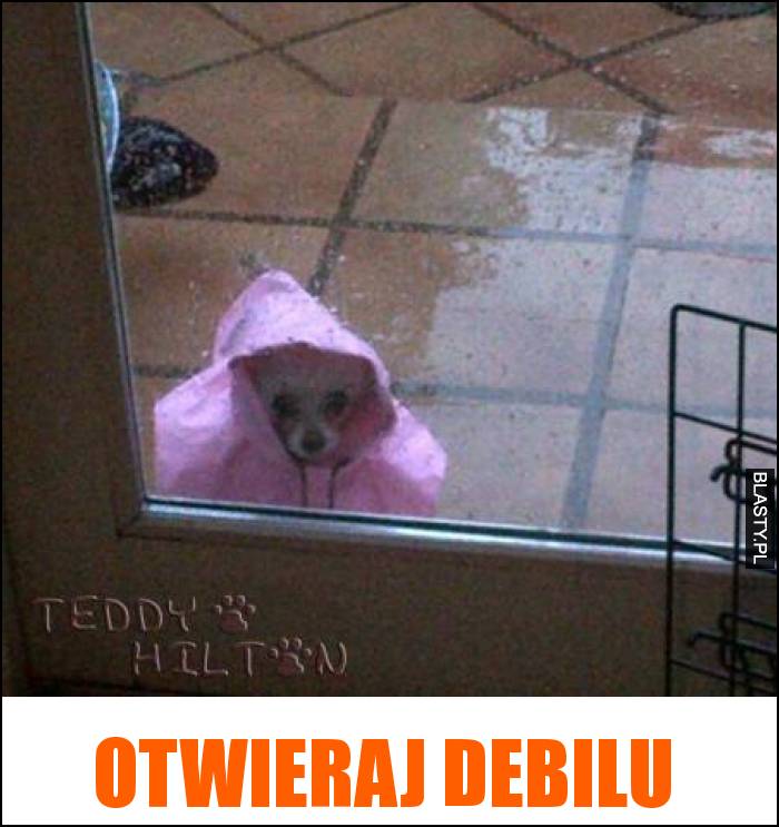 Otwieraj debilu