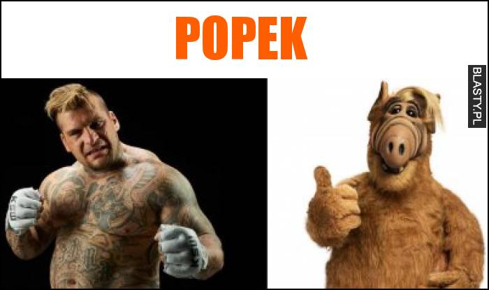 Popek