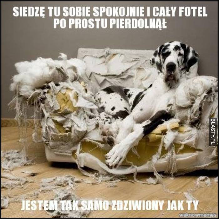 Siedzę tu sobie spokojnie i cały fotel po prostu pierd.. jestem tak samo zdziwiony jak Ty