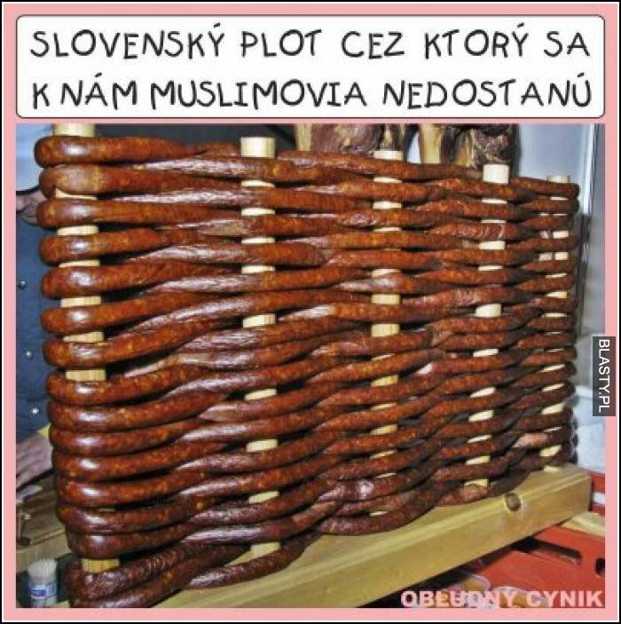 Slovensky plot cez ktory sa k nam muslimovia nedostanu