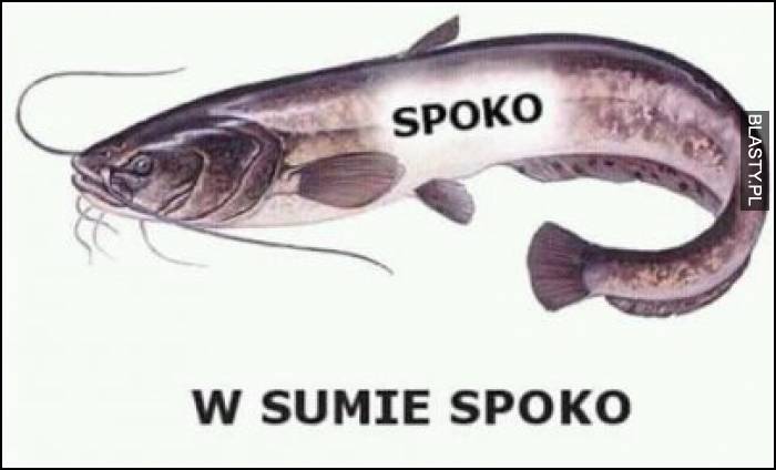 Spoko - w sumie spoko