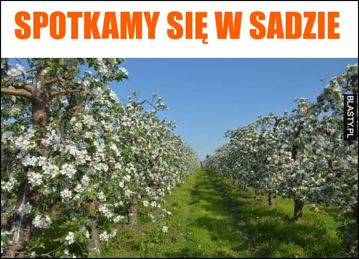 Spotkamy się w sadzie