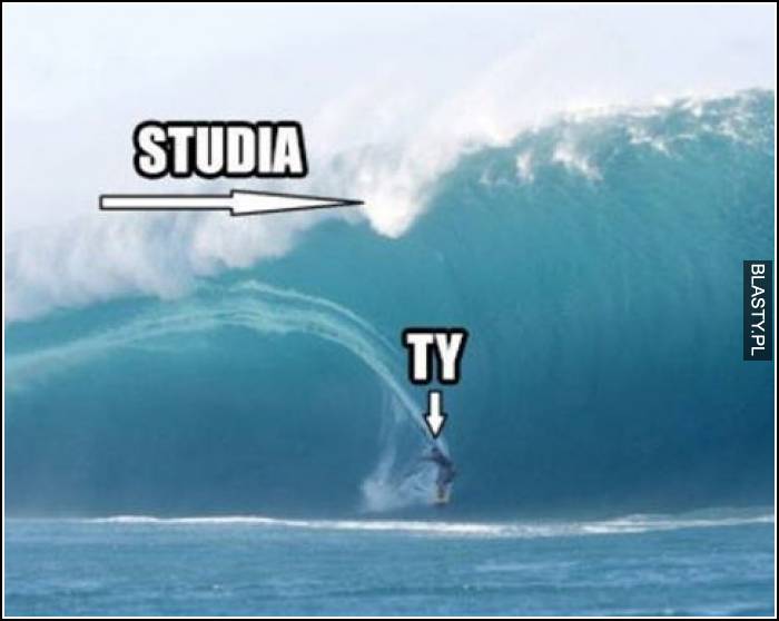 Studia vs Ty