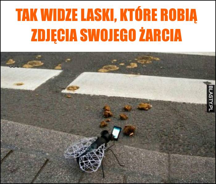 Tak widze laski